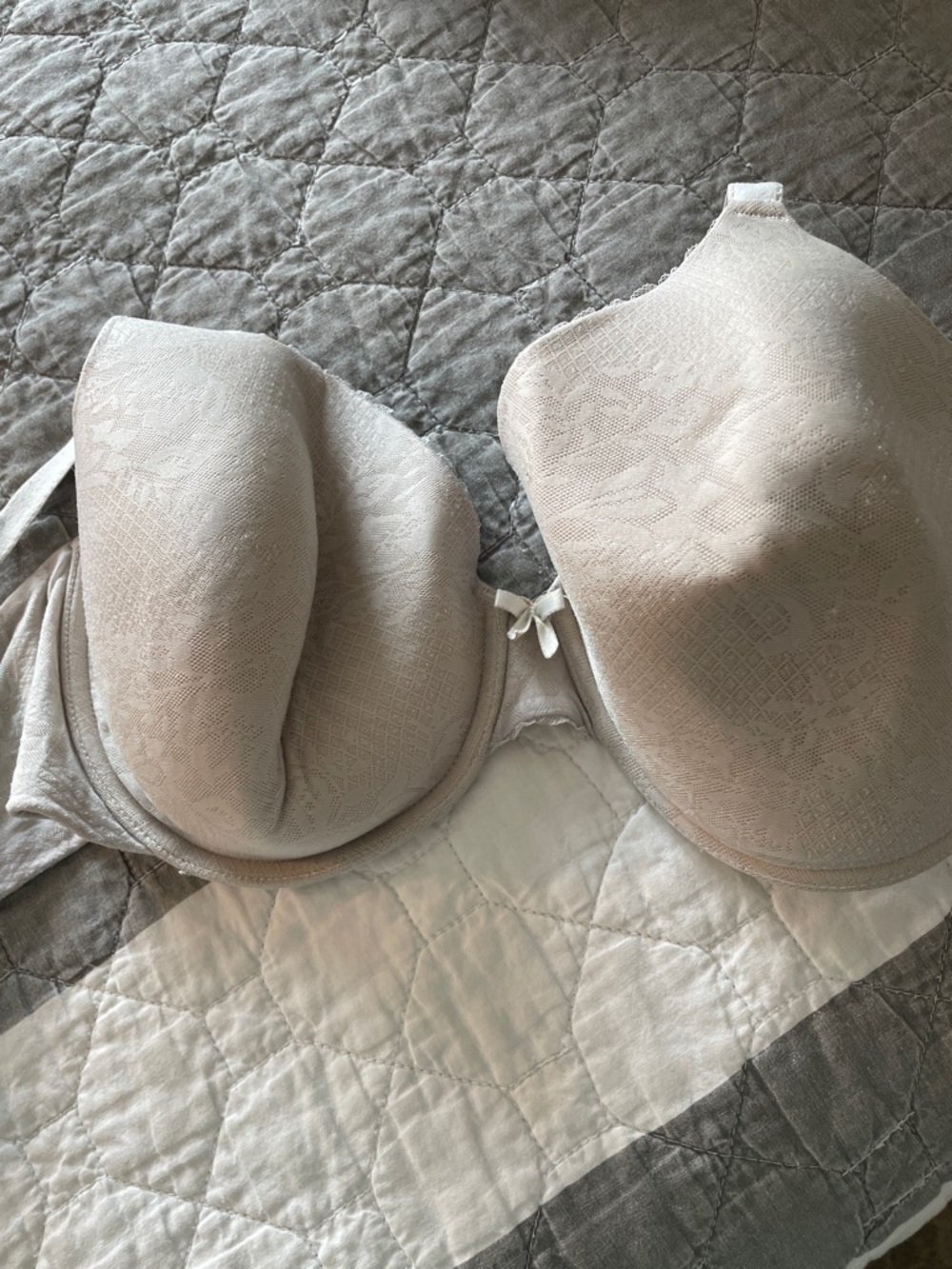 Maidenform Light Beige Lace-Textured Push-Up Bra